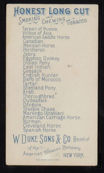 N101 Duke Sons and Co Breeds of Horses